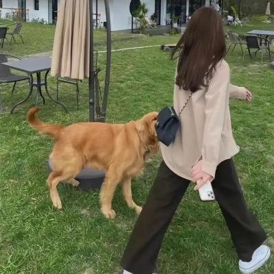 理想照耀中国